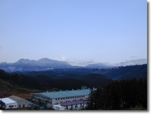 2006年1月5日の雪景色。